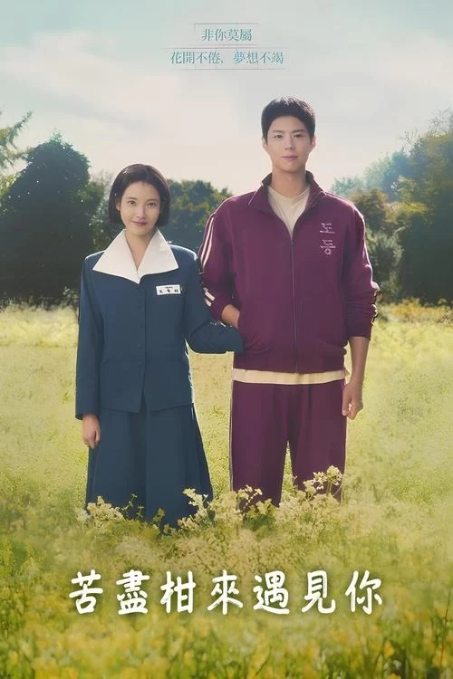 苦尽柑来遇见你 (2025) 韩剧.4K高码.韩语中字.全16集.IU李知恩/朴宝剑的图片(1)