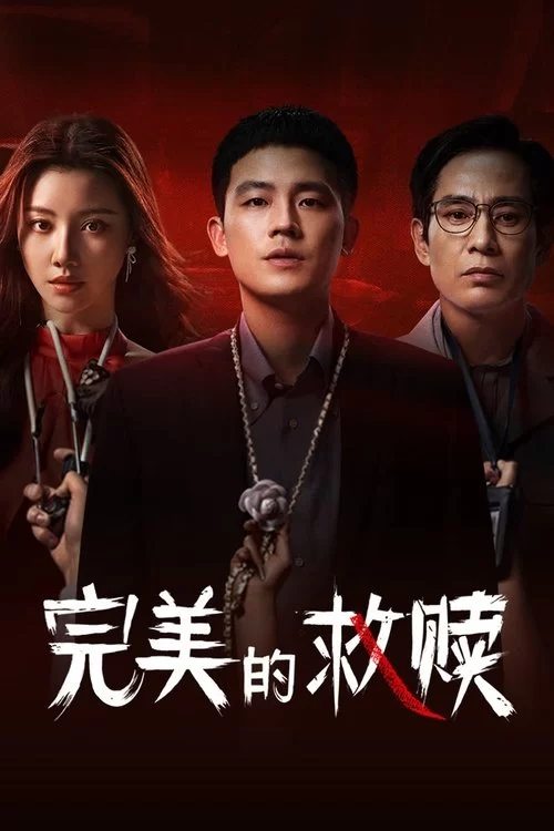 完美的救赎 (2025) 4K.国语中字的图片(1)